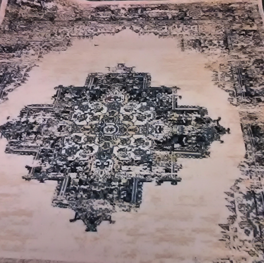 Beautiful area rug blue and cream colored.